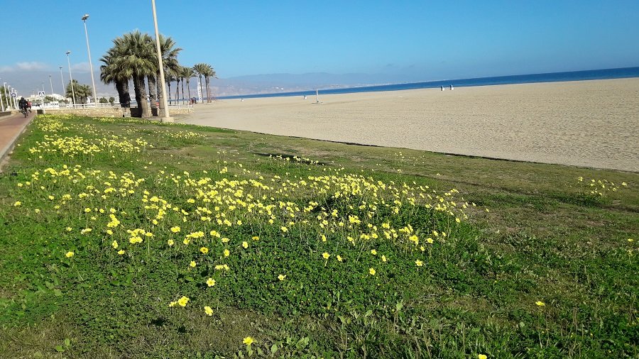 Roquetas de Mar 3.jpg